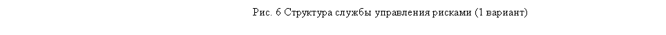 Подпись: Рис. 6 Структура службы управления рисками (1 вариант)