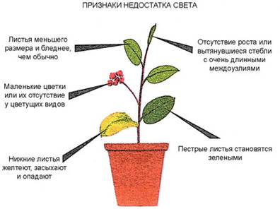 : http://u.jimdo.com/www15/o/s654dda41c71d4c3b/img/i4ef19c16a99e18a0//std/image.jpg