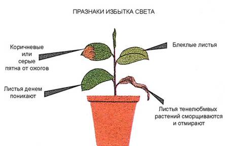 : http://u.jimdo.com/www15/o/s654dda41c71d4c3b/img/ie9e3ca2a76fd129b//std/image.jpg