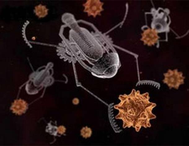 C:\Documents and Settings\-\ \Rob1.jpg