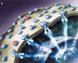 C:\Documents and Settings\-\ \  \113826.jpg