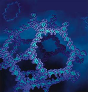 C:\Documents and Settings\-\ \  \oktaedr.jpg