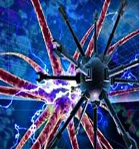 C:\Documents and Settings\-\ \  \3723_picture.JPG