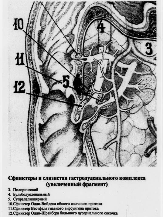 Без имени-1копирование