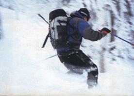 Спорт швеции