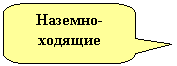 Скругленная прямоугольная выноска: Наземно-ходящие