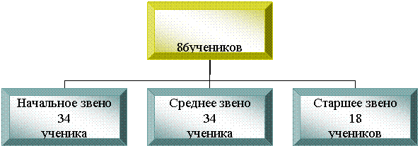 Организационная диаграмма