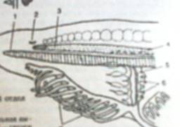 C:\Users\\Desktop\ 1.jpg