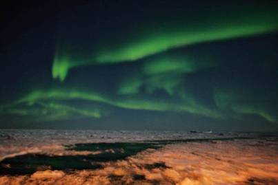 Фотографии