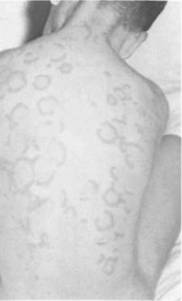 Картинка 6 из 67