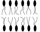 C:\Documents and Settings\\ \1.png