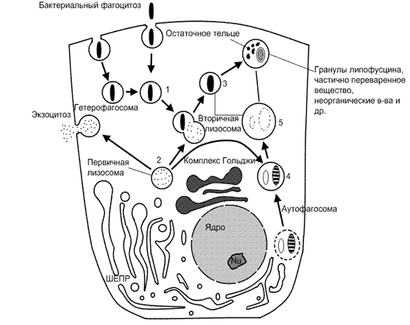 C:\Documents and Settings\\ \.png