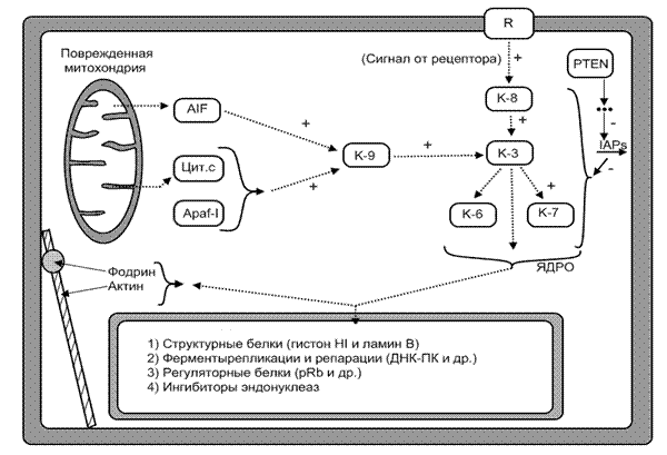 C:\Documents and Settings\А\Рабочий стол\Безымянный1.png