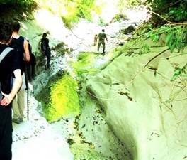 Картинка 1 из 1