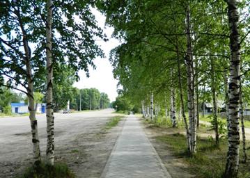 D:\Фотографии Nikon\Природа\DSCN1675.JPG