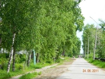 D:\Фотографии Nikon\Природа\DSCN1618.JPG