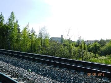 D:\Работа\фото птицы\птицы города\Завод ДВП\DSCN6951.JPG