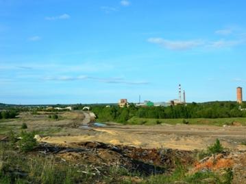 D:\Работа\фото птицы\птицы города\Завод ДВП\DSCN6998.JPG