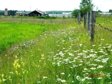 C:\Users\Roza\AppData\Local\Microsoft\Windows\Temporary Internet Files\Content.Word\DSCN8831.jpg