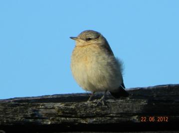 C:\Users\Roza\AppData\Local\Microsoft\Windows\Temporary Internet Files\Content.Word\DSCN8215.jpg