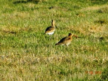 C:\Users\Roza\AppData\Local\Microsoft\Windows\Temporary Internet Files\Content.Word\DSCN4731.jpg