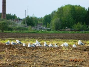 C:\Users\Roza\AppData\Local\Microsoft\Windows\Temporary Internet Files\Content.Word\DSCN6429.jpg