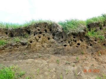 C:\Users\Roza\AppData\Local\Microsoft\Windows\Temporary Internet Files\Content.Word\DSCN6613.jpg