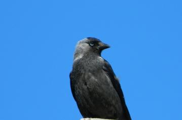 C:\Users\Roza\AppData\Local\Microsoft\Windows\Temporary Internet Files\Content.Word\DSCN1962.jpg