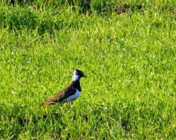 C:\Users\Roza\AppData\Local\Microsoft\Windows\Temporary Internet Files\Content.Word\DSCN8540.jpg