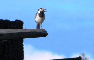 C:\Users\Roza\AppData\Local\Microsoft\Windows\Temporary Internet Files\Content.Word\DSCN8202.jpg