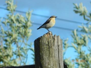 C:\Users\Roza\AppData\Local\Microsoft\Windows\Temporary Internet Files\Content.Word\DSCN8194.jpg