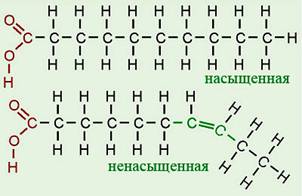 C:\Users\Игорь\Desktop\fatty acid.jpg