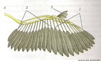 C:\Documents and Settings\Acer\ \  \ \0002.jpg