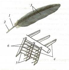 C:\Documents and Settings\Acer\ \  \ \0003.jpg