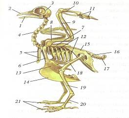 C:\Documents and Settings\Acer\ \  \ \0004.jpg