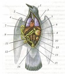 C:\Documents and Settings\Acer\ \  \ \0005.jpg