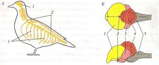 C:\Documents and Settings\Acer\ \  \ \0007.jpg