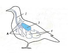 C:\Documents and Settings\Acer\ \  \ \0008.jpg