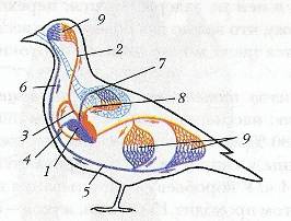 C:\Documents and Settings\Acer\ \  \ \0009.jpg