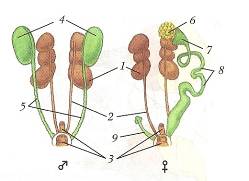 C:\Documents and Settings\Acer\ \  \ \0010.jpg