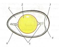 C:\Documents and Settings\Acer\ \  \ \0011.jpg