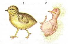 C:\Documents and Settings\Acer\ \  \ \0012.jpg