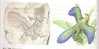 C:\Documents and Settings\Acer\ \  \ \0013.jpg