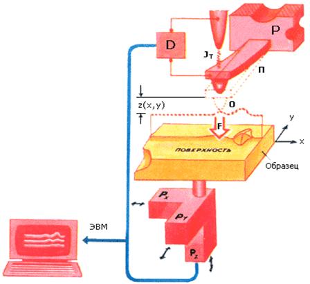 Схема сканирующего атомного силового микроскопа