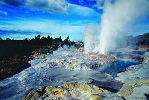 : Geysers at Whakarewarewa