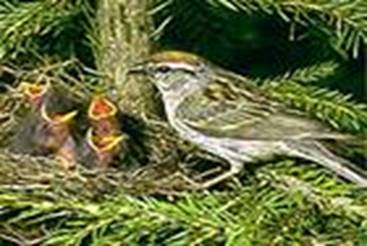 D:\ \Data\Database\Data\VICT\B046I.BMP