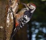 Картинка 10 из 67877