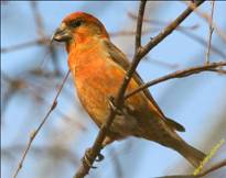 Картинка 9 из 10897