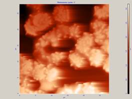 Лейкоциты сухие - 2