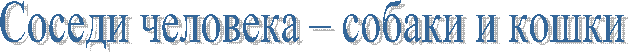 Соседи человека – собаки и кошки